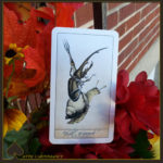 The Attic Shoppe Trading Company - The Isidore Tarot